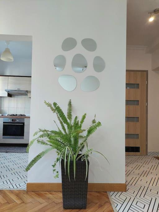 Apartmán Domin Domin Čenstochová Exteriér fotografie